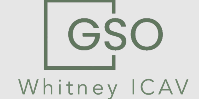 gsow-icav.com Scam: Scam Or Legit? | Recover Lost Funds