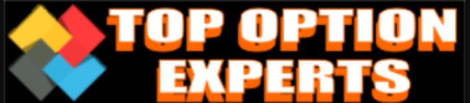 Top Option Experts_logo