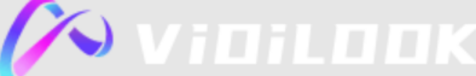 vidilook-logo