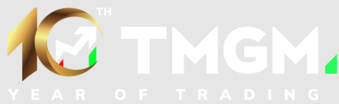 TMgm.net logo