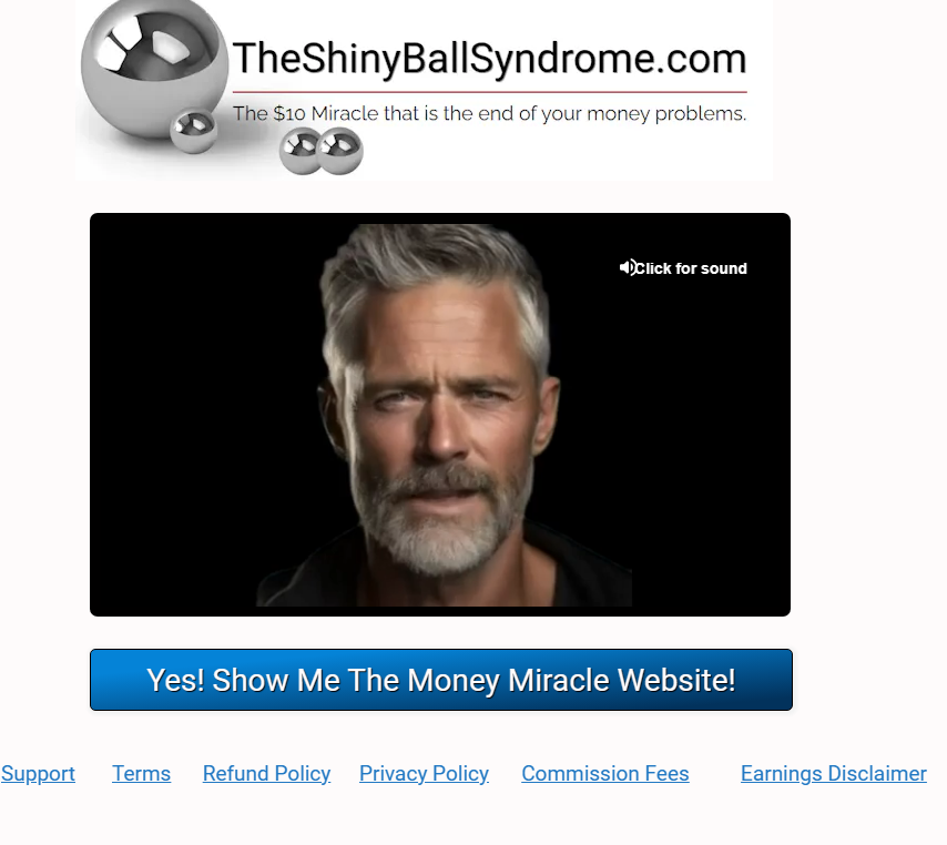 Homepage of The Shiny Ball Syndrome
