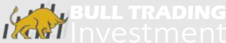 BullTradingInvestment_logo