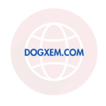 DOGXEM.COM Scam