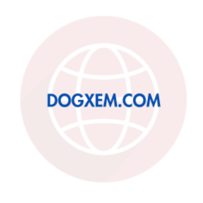 Dogxem.com Review: Scam Or Legit? | Recover Lost Funds