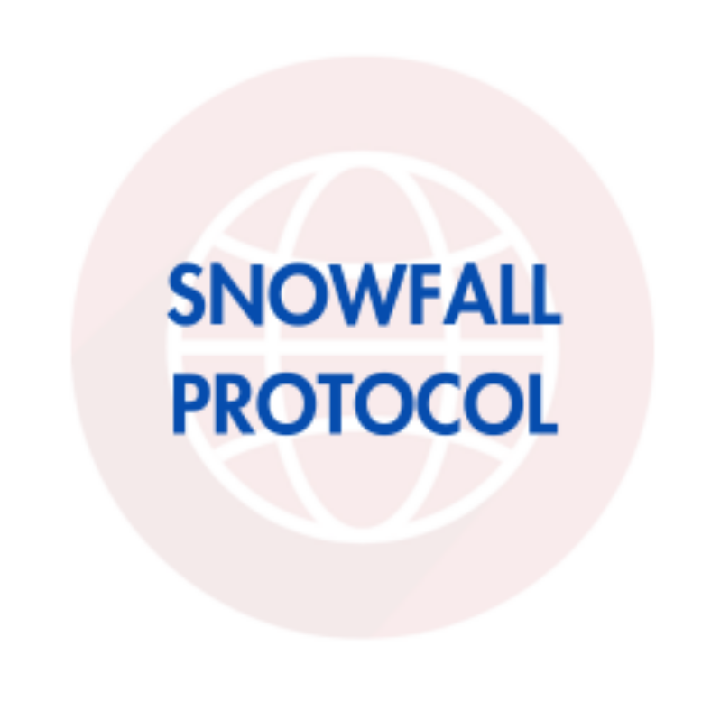 Snowfall Protocol Scam: Scam Or Legit? | Recover Lost Funds