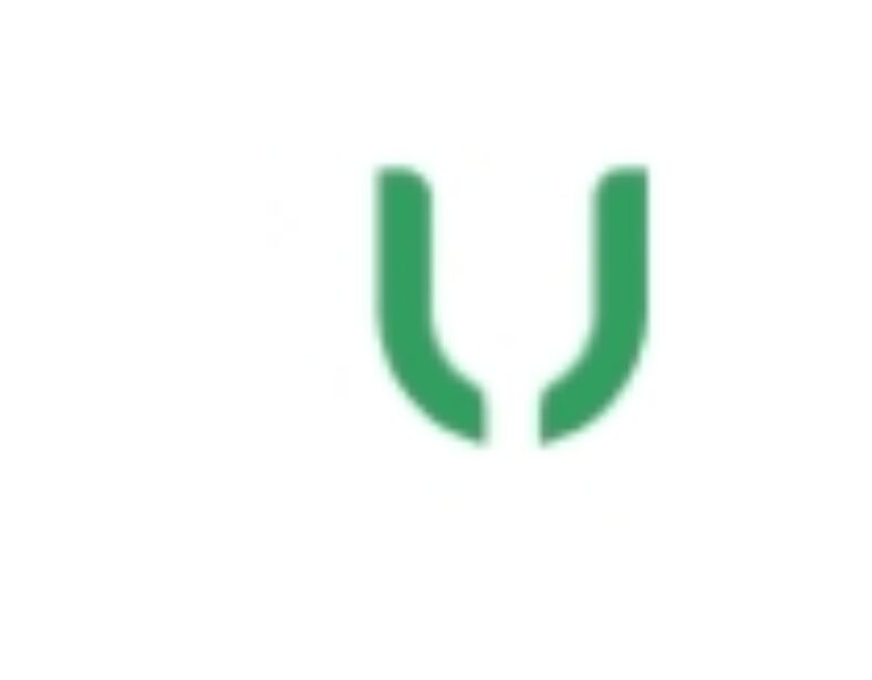 Vortic United Review: Scam Or Legit? | Find Out Here 2024