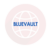 BlueVault Review: Legit Or Not? | Find Out Here 2024