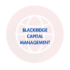BlackBull Markets Review: Scam Or Legit? | Find Out Here 2024