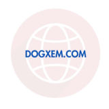 Dogxem.com Review: Scam Or Legit? | Recover Lost Funds