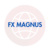 FX MAGNUS Review: Scam Or Legit? | Recover Lost Funds