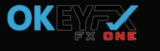 OkeyFX Review: Scam Or Legit? | Find Out Here 2024