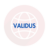 Validus Review: Scam Or Legit? | Recover Lost Funds