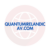 quantumirelandicav.com Scam: Scam Or Legit? | Recover Lost Funds